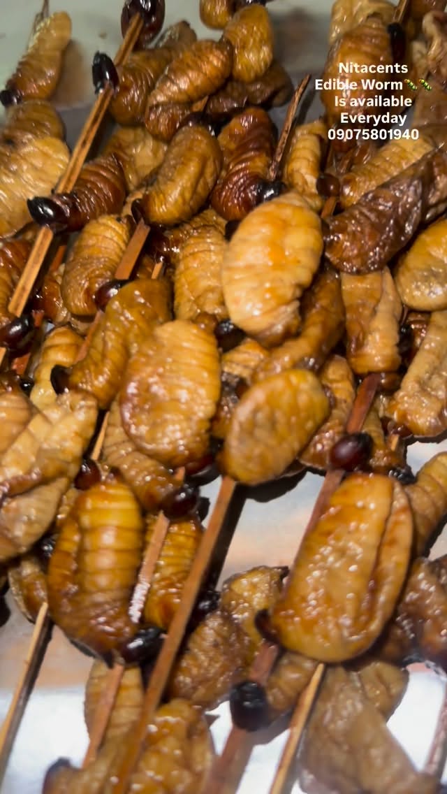 Edible worm 🐛🐛 is always Available 💃🏼💃🏼💃🏼💃🏼💃🏼💃🏼
Just call me and I gat you✌🏾🙏🏾👌👌👌👌👌👌👌👌👌

Migwo to everyone who eats Edible Worm and kpokpo Garri✅✅✅✅✅✅✅✅
#nitacentskitchen